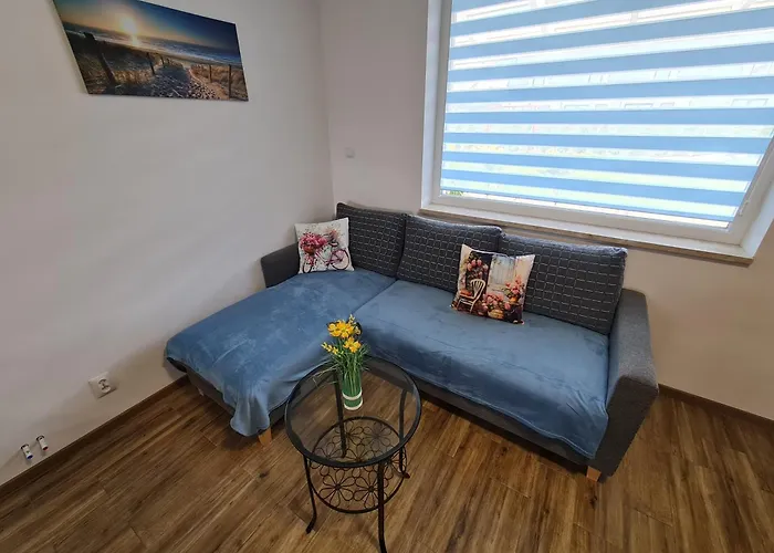 Blue Baltic Bay アパート Karwieńskie Błoto